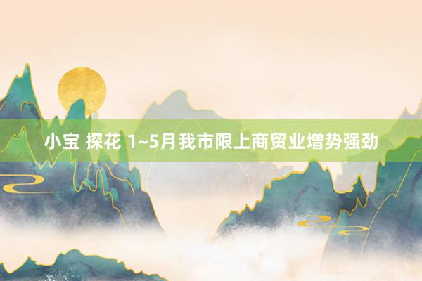 小宝 探花 1~5月我市限上商贸业增势强劲