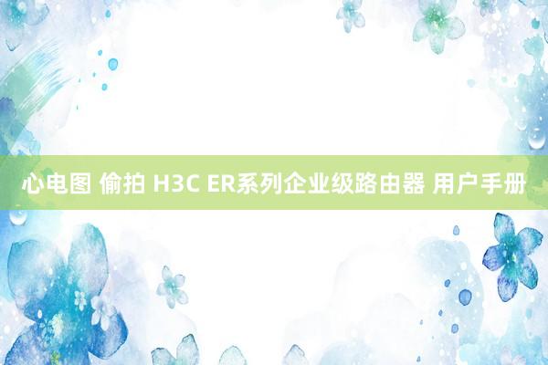 心电图 偷拍 H3C ER系列企业级路由器 用户手册