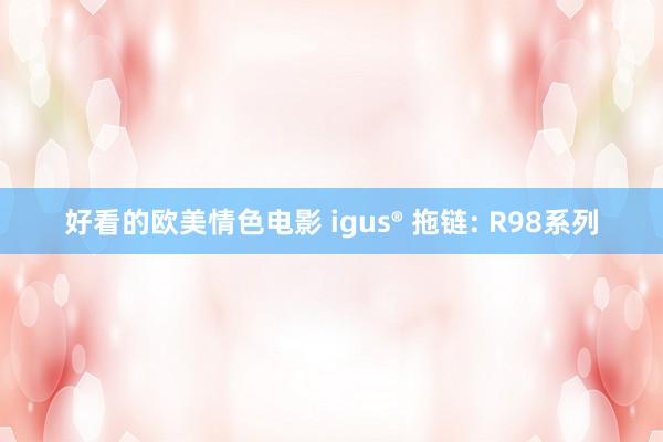 好看的欧美情色电影 igus® 拖链: R98系列