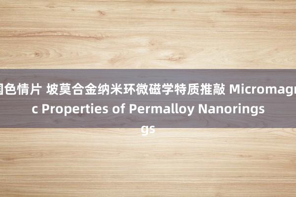 外国色情片 坡莫合金纳米环微磁学特质推敲 Micromagnetic Properties of Permalloy Nanorings